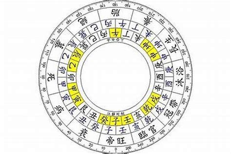 八字四庫|八字辰戌丑未四季、四庫、四墓經驗解